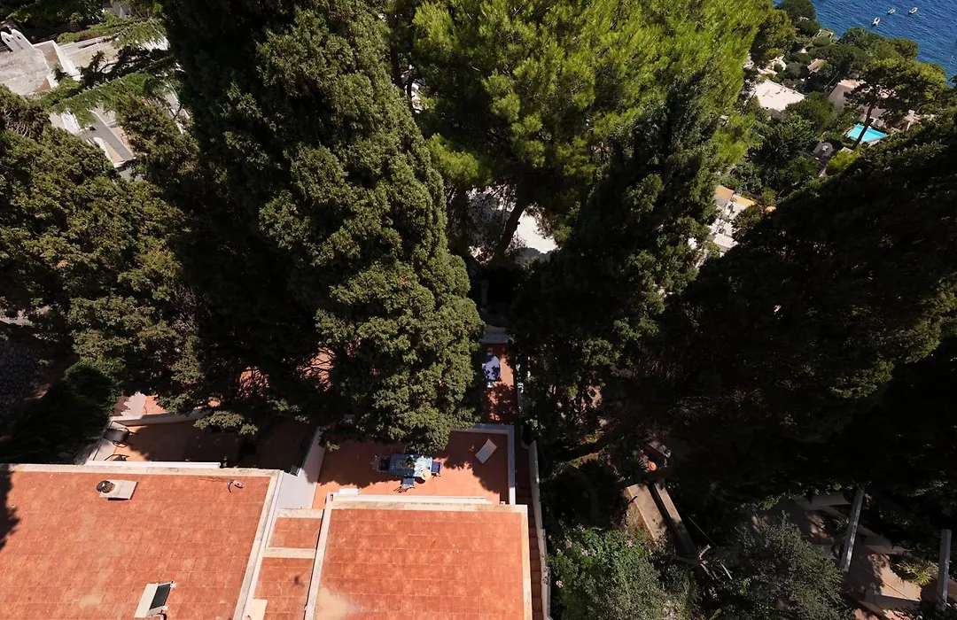 Casa Schiattarella Capri-1